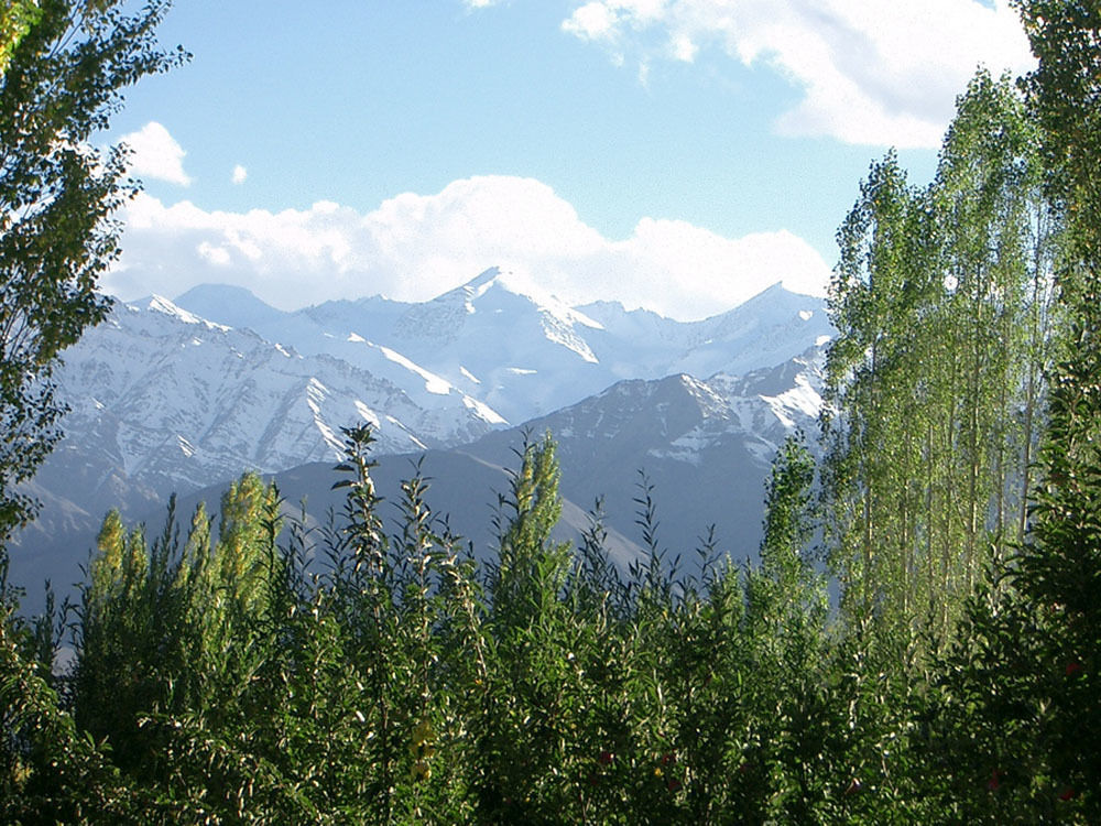 Hotel Shambhala Leh Kültér fotó