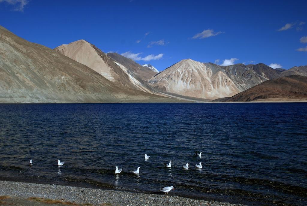 Hotel Shambhala Leh Kültér fotó